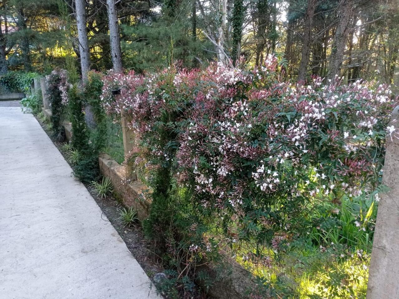 A Vida E Bella - Gramado Rs 아파트 외부 사진
